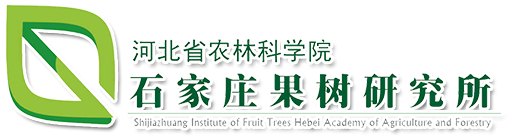 匯華品牌故事,郵箱疑問解答,行業新聞動態